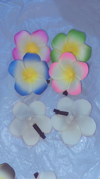 Fleurs à Cheveux Tropicales