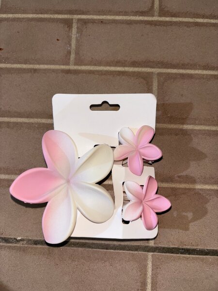 Pinces à cheveux fleurs