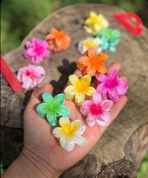Épingles à cheveux fleurs colorées