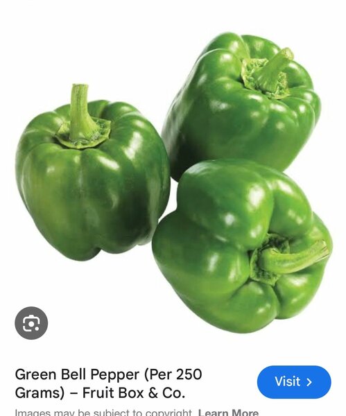 Poivrons verts frais