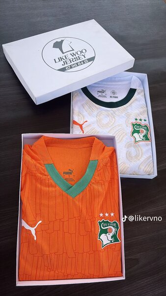 Maillot Côte d'Ivoire Puma