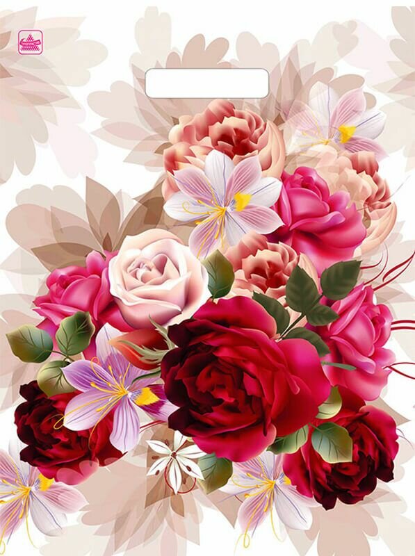 Подарочные пакеты