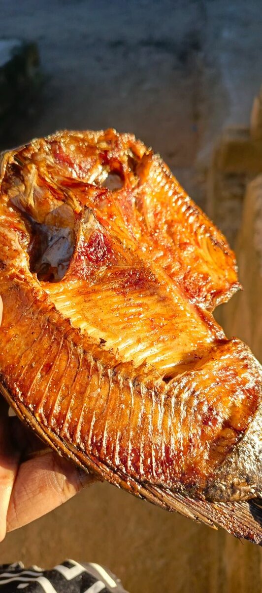 Semi dry Motomoya fish for sale