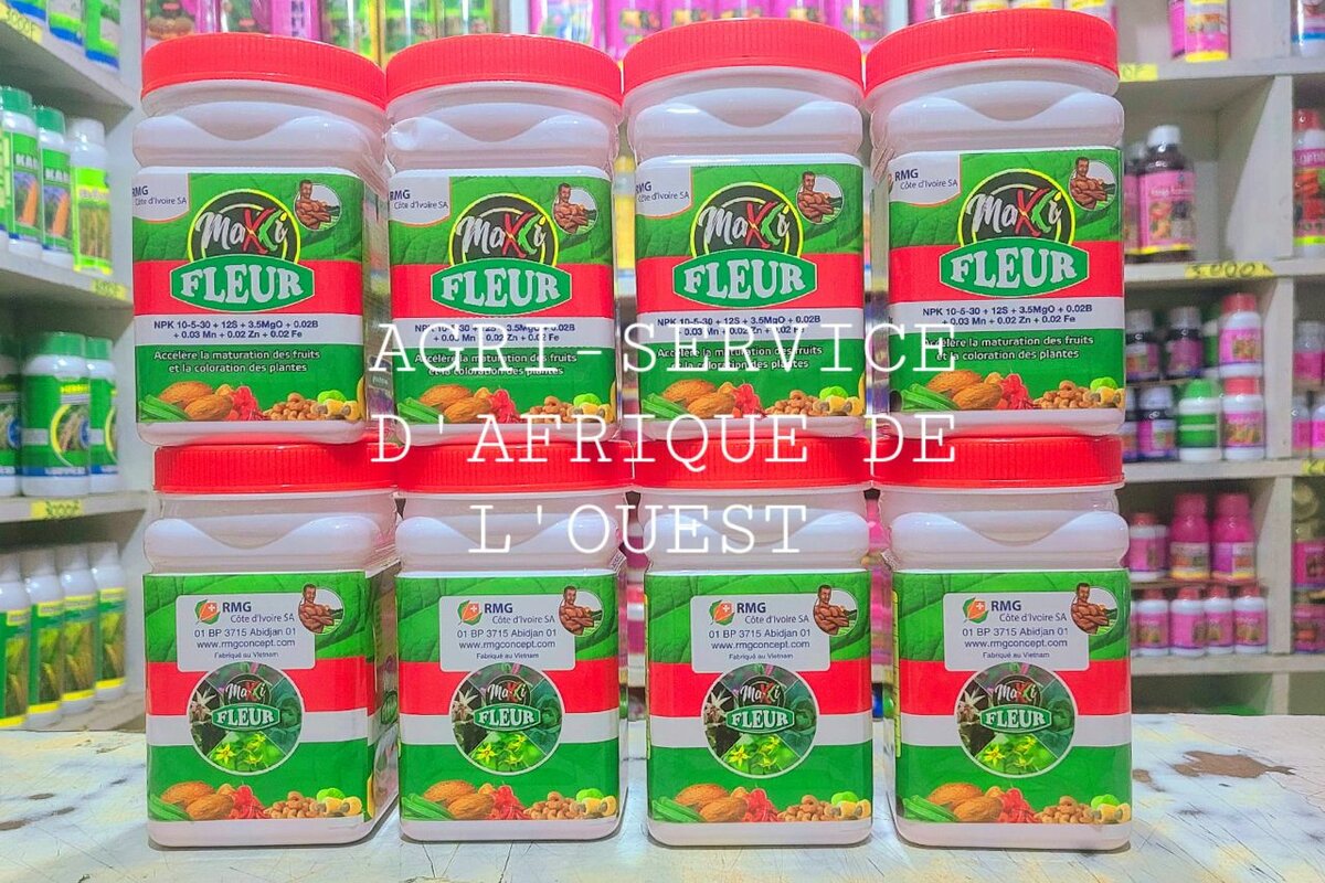 Maxxi Fleur Engrais Plantes