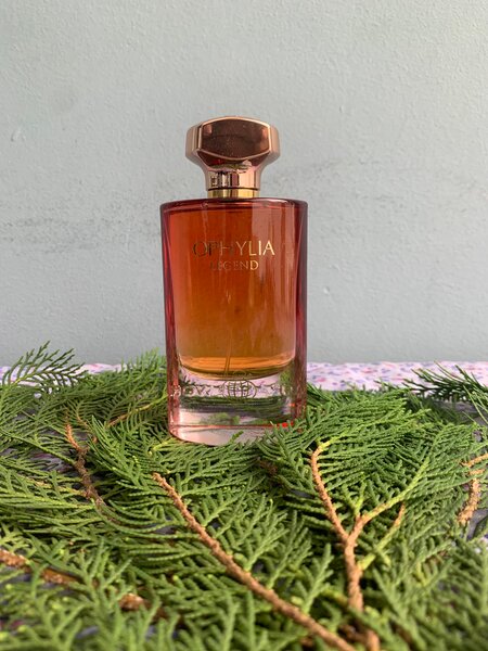 Parfum Hommes Élégants