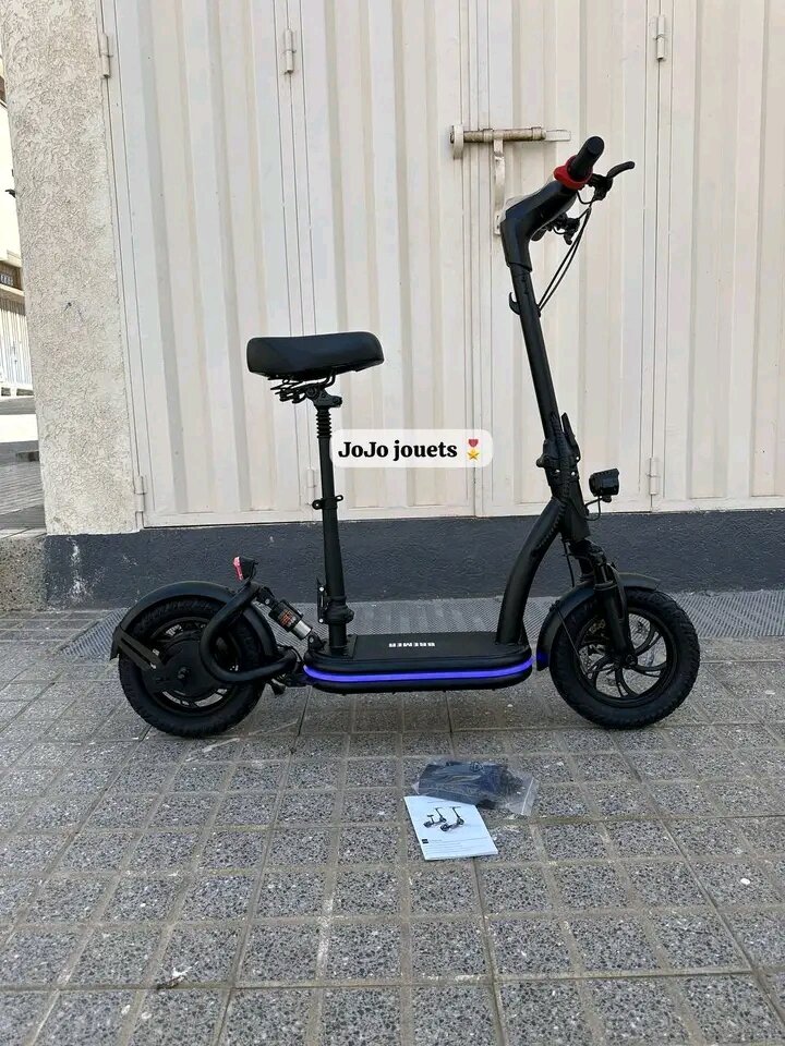 Trottinette électrique adulte