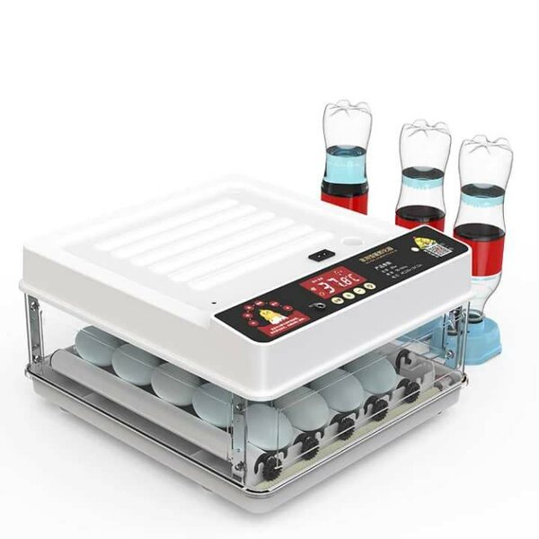 Incubateur automatique d'œufs