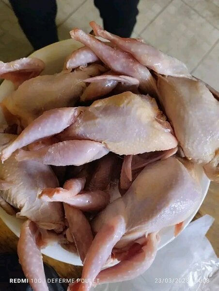 Cailles fraîches prêtes à cuire