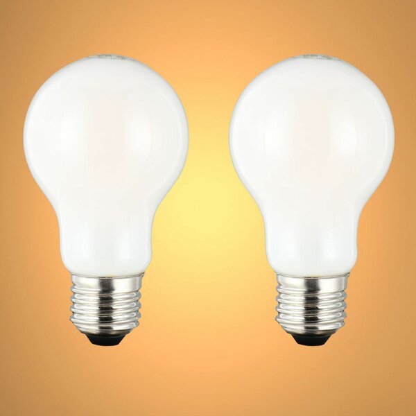 Lot de 2 ampoules LED