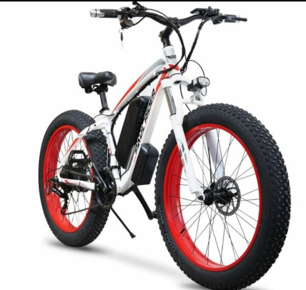 Vélo Électrique tout terrain