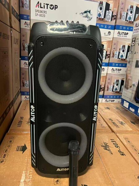 Enceinte Bluetooth Puissante