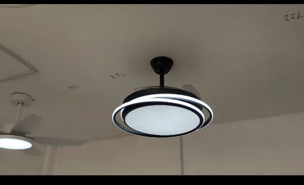 Ceiling light &fan