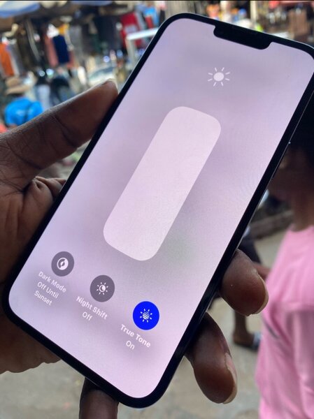 iPhone 13pro max (256gig factory unlocked)