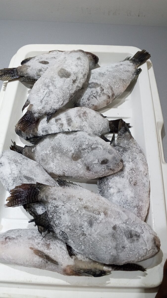 Poulet, pintade, poisson frais