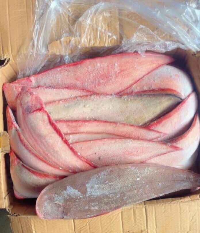 Poisson frais emballé