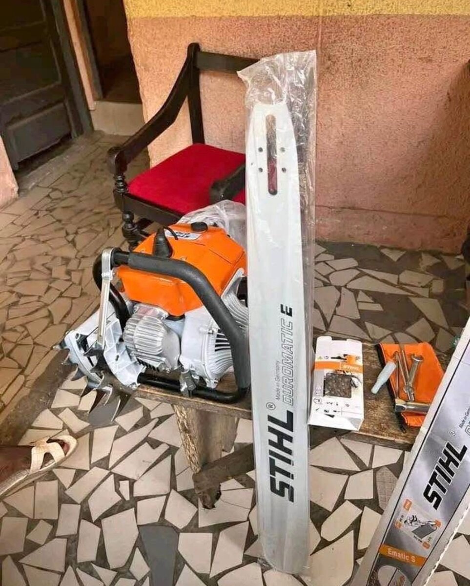 Tronçonneuse STIHL robuste