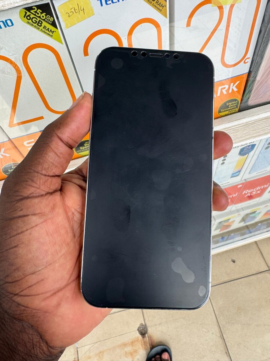 iPhone 12 Pro Max 128Go très bon état