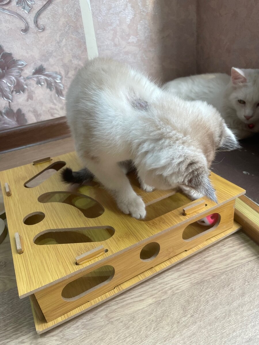 Игрушка для котов