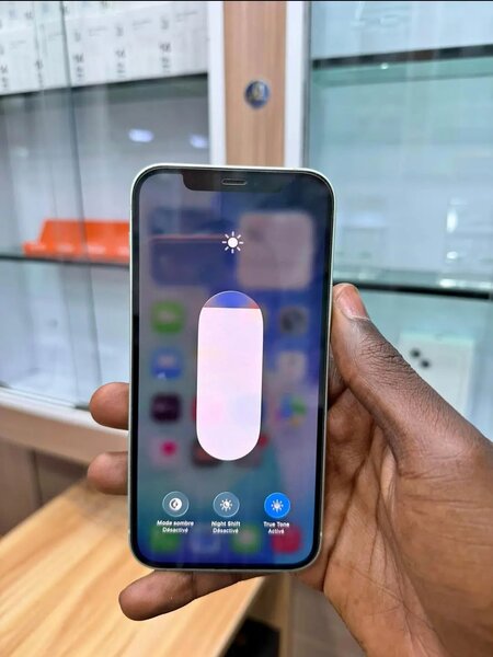 iPhone 12 Pro Max - Mint