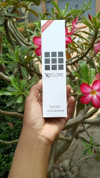 Bons parfums à odeur durable.