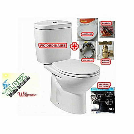 Toilette WC ordinaire avec mécanisme poussoir