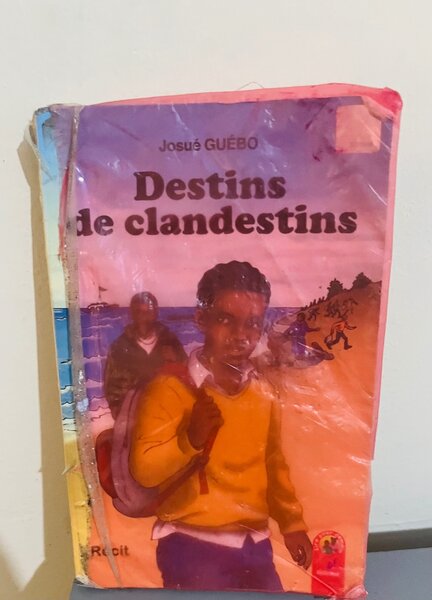 Livre "Destins de clandestins"