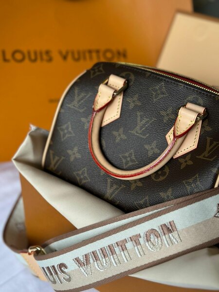 Женская сумка Louis Vitton