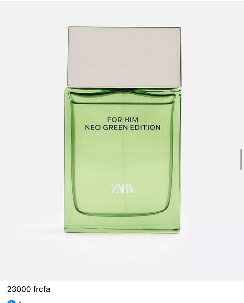 Parfum Pour Homme Neo Green