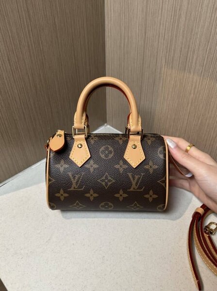 Sac à main Louis Vuitton Speedy