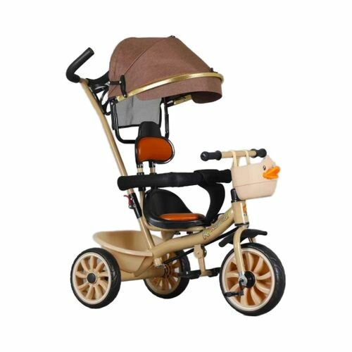 Tricycle avec Canopy Bébé