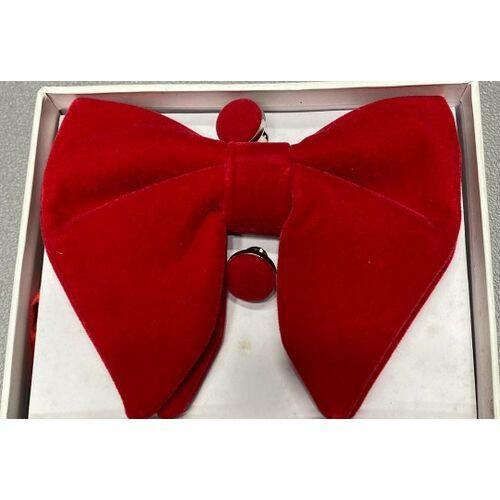 Noeud papillon velours rouge