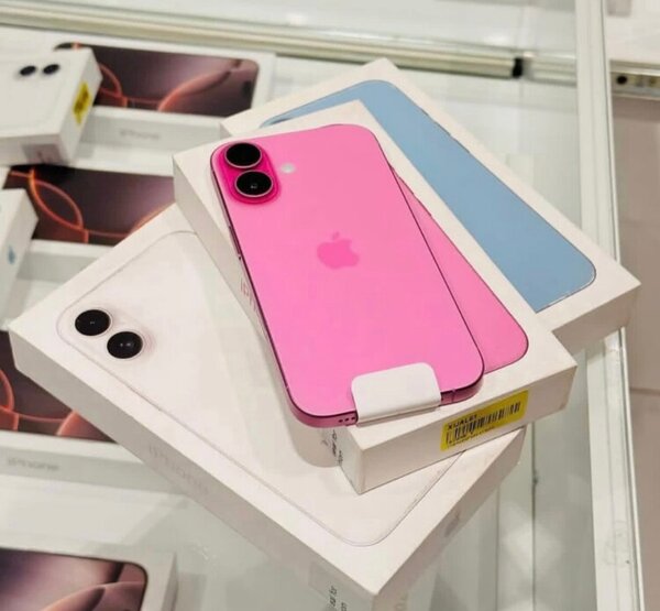 iPhone 16 Rose