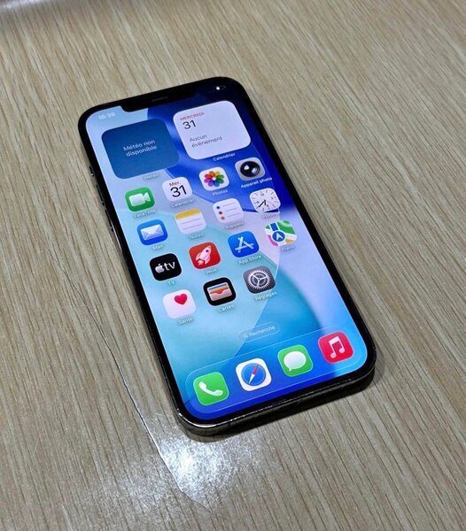 iPhone 13 Pro Max 128 Go