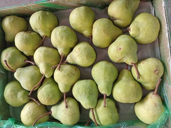 Fruits frais assortis