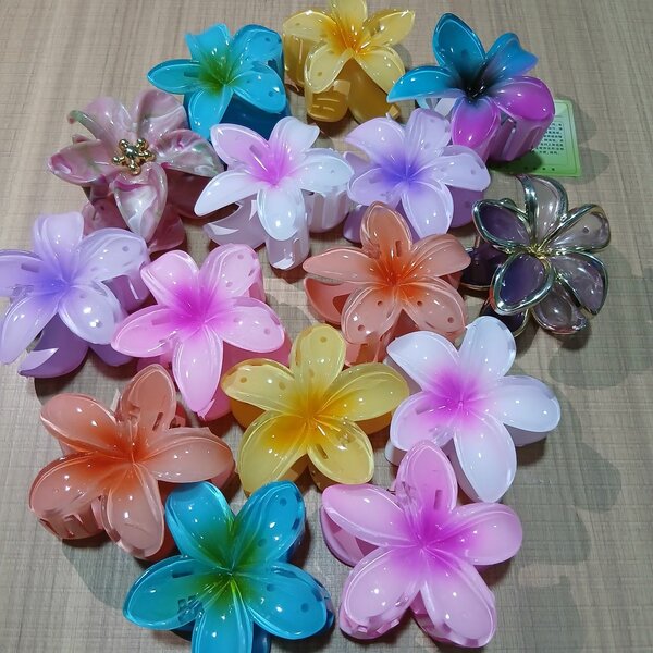 Pinces à cheveux fleurs multicolores