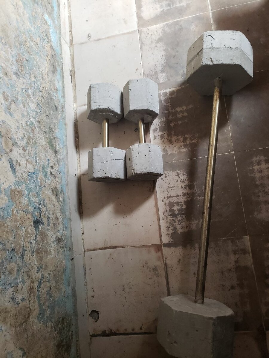 Haltères béton robustes