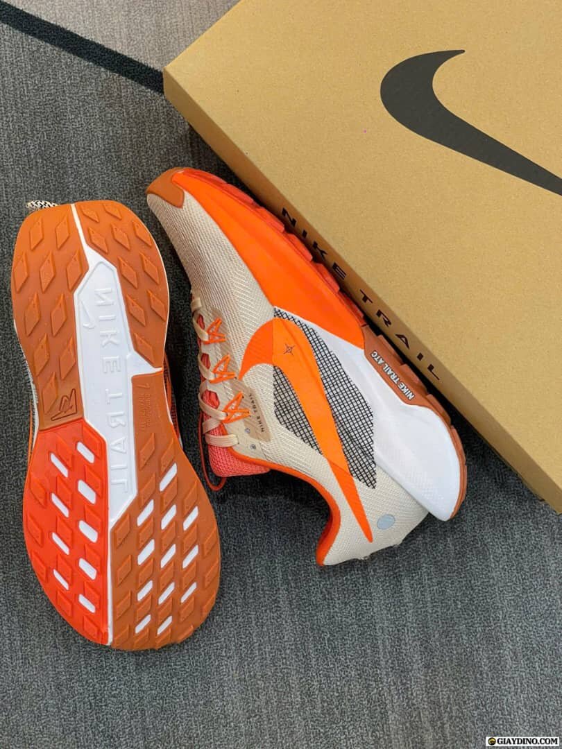 Nike Trail Chaussures Homme