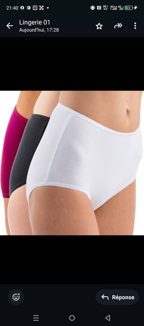 6 Lot de Culottes grnde taille