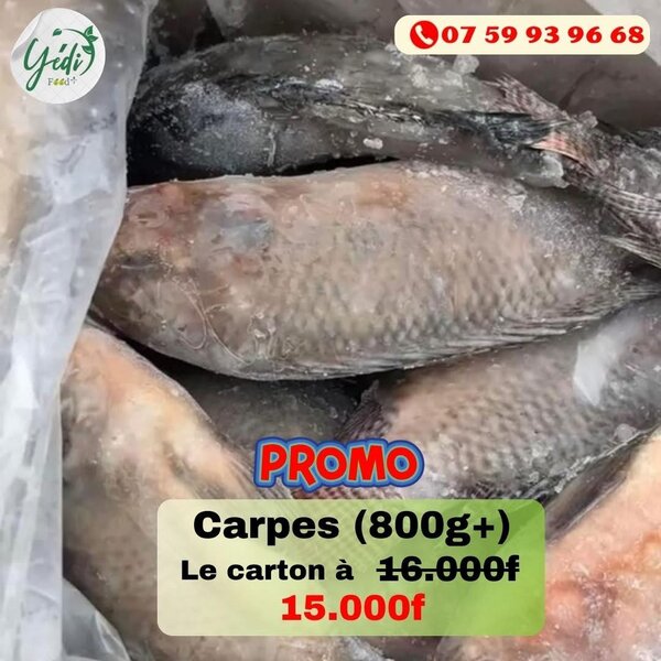 Carpes Fraîches 800g+ Promo