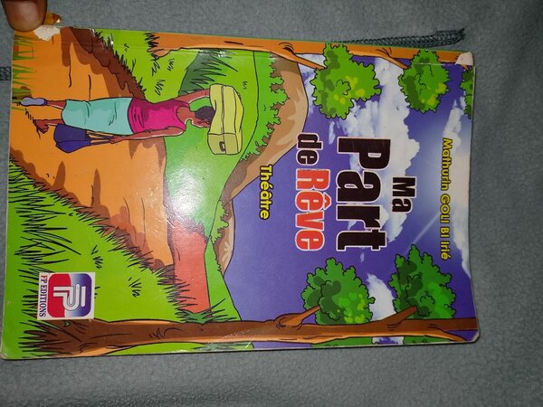 Apprentissage en Anglais 3e