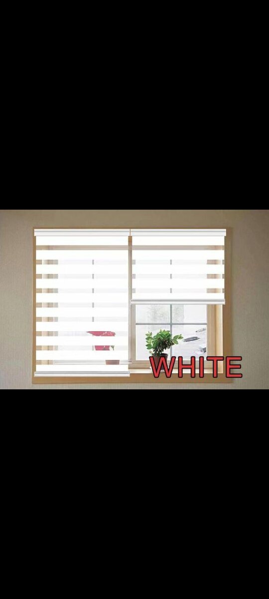 Window blinds