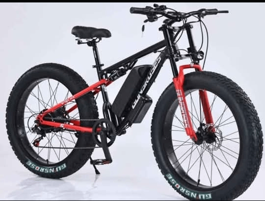 Vélo électrique tout-terrain