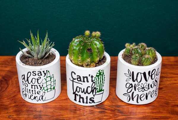 Mwaba flowerpot 9cm wide and 9cm deep