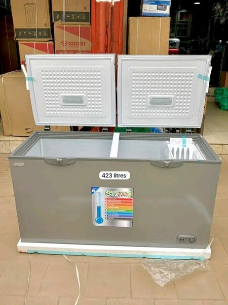 Congélateur Arc 423L