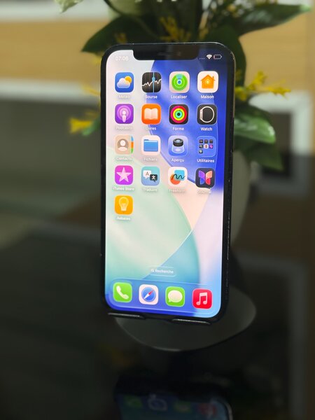 Apple iPhone 12 - 128Go - Noir