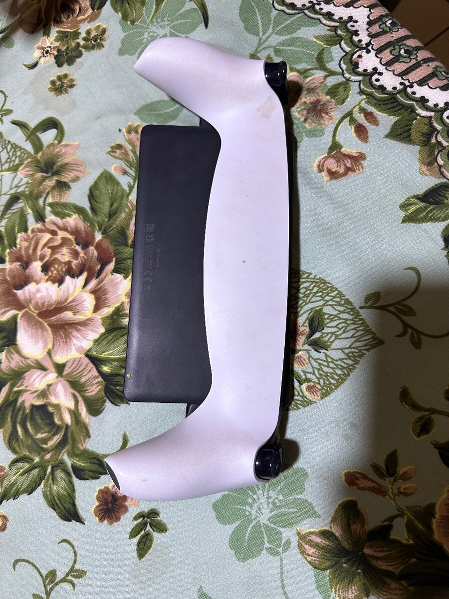 PlayStation portable