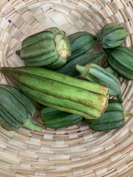 Gombo frais en panier