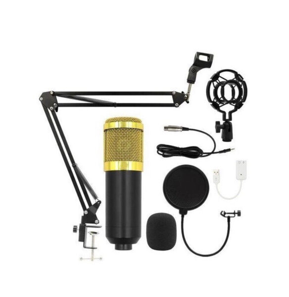 Microphone studio professionnel USB