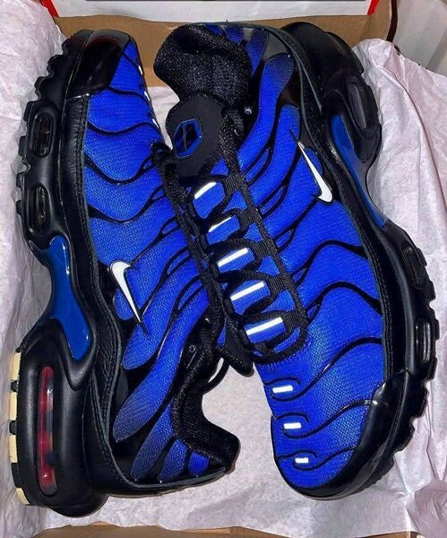 Chaussures Nike TN Air Max Plus