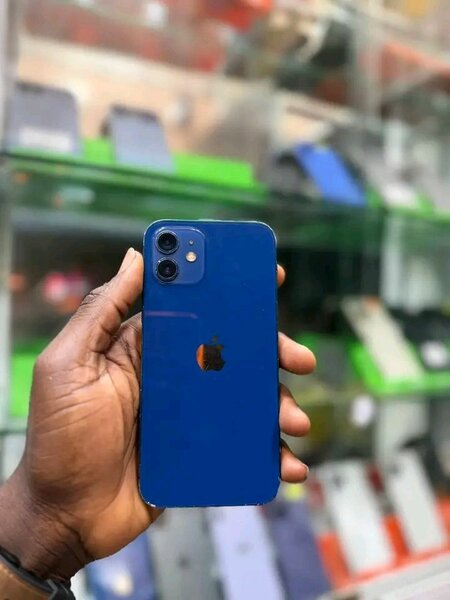 iPhone 12 bleu 64Go